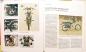 Preview: DDR Motorbuch 1981