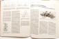Preview: Motoren Jahr 1981