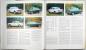 Preview: Motorjahr 1977